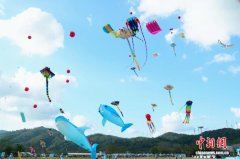 广东省第十一届风筝锦标赛举行